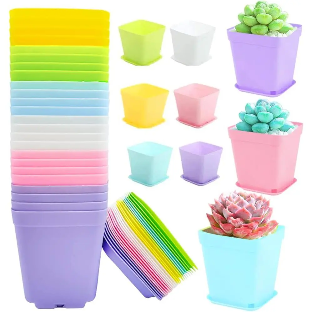 24-Pack Nest Pack Square Shape 3-in Plastic Seedling Pots with Saucers, Drainage Holes, Multicolor Succulent Planters for Indoor/Outdoor Gardens, Room Decor – Gardener-Friendly Home Improvement Garden Supplies