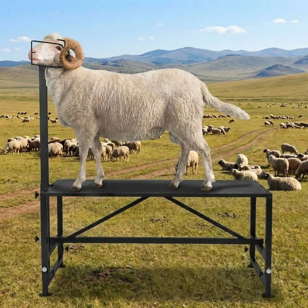 Goat Milking Stand 47x23 inch Heavy-Duty Metal Livestock Stand, Adjustable Metal Milking & Trimming Stand, Durable Headpiece Height 21" to 27", 500lbs Capacity, Ideal for Horned Goats/Farm Animals, Black