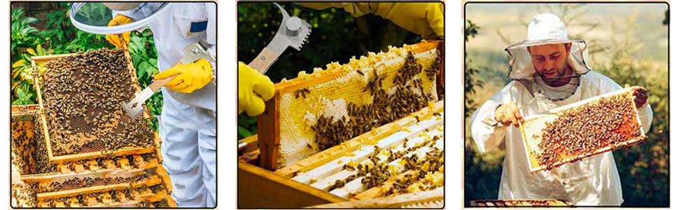 Multipurpose Hive with Wooden Handle and 7 Functions Beekeeping Hive Scraper Tool Beekeeping Equipment