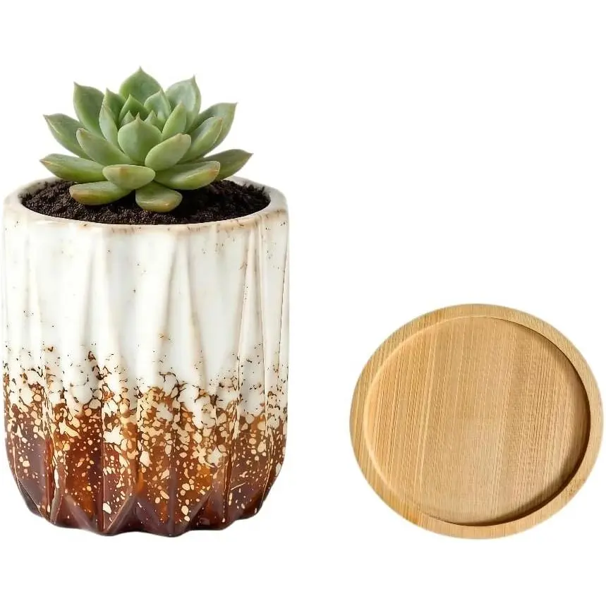 Modern Textured Ceramic Succulent Planter Pot – (No  Included) –  for Small , Cacti & Desk Decor – Lightweight & Durable,White