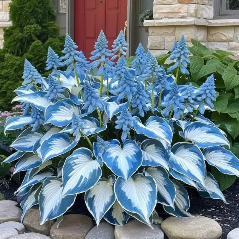 800pcs Bulk Pack Shade Perennial Flower & Plant Seeds - Easy Grow, Outdoor Natural Garden Design Suitable, Low-Maintenance Foliage Seeds for Home Improvement