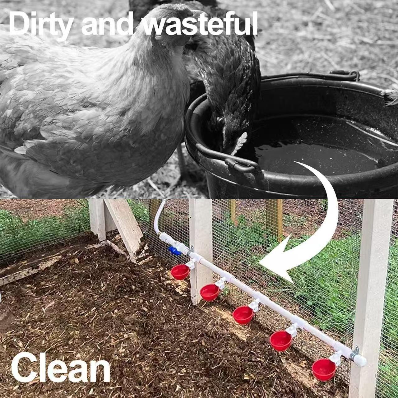 Automatic Chicken Waterer Cup, Easy Install Poultry Feeder for Hen House Farming, Durable PP Material for Chickens Ducks Birds