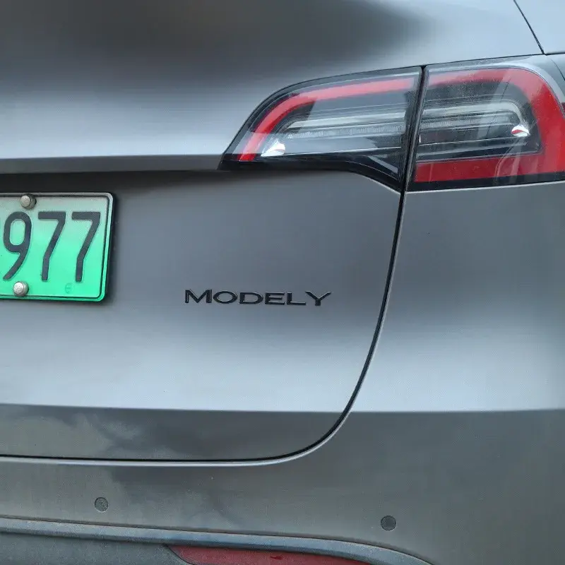 Dual Motor Emblem Badge for Tesla Model Y 3 X S | 3D ABS Chrome Black Red
