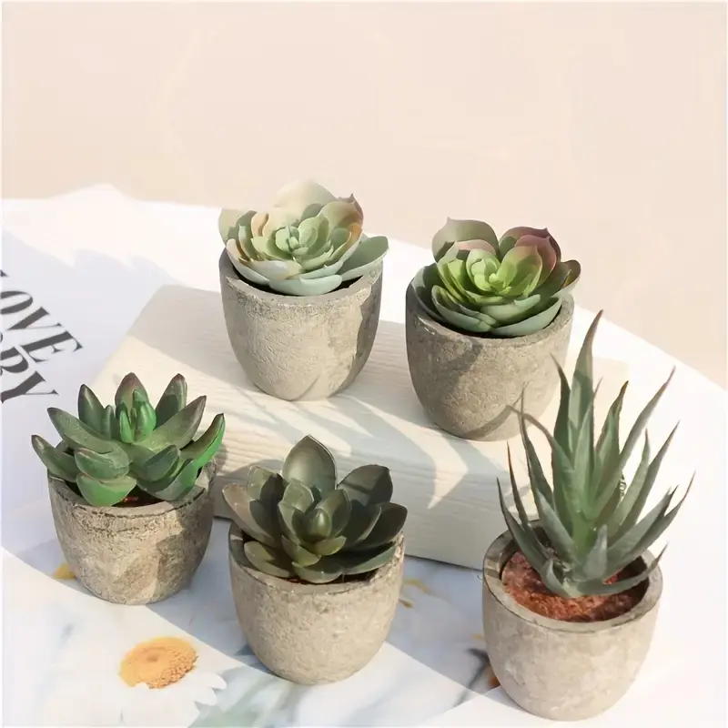 5 Pack Faux Mini Succulents with Textured Pots, Realistic All Weather Artificial Plants, Minimalist Aesthetic Desk Decor for Home Office Must Have Viral Home Decor Gifts