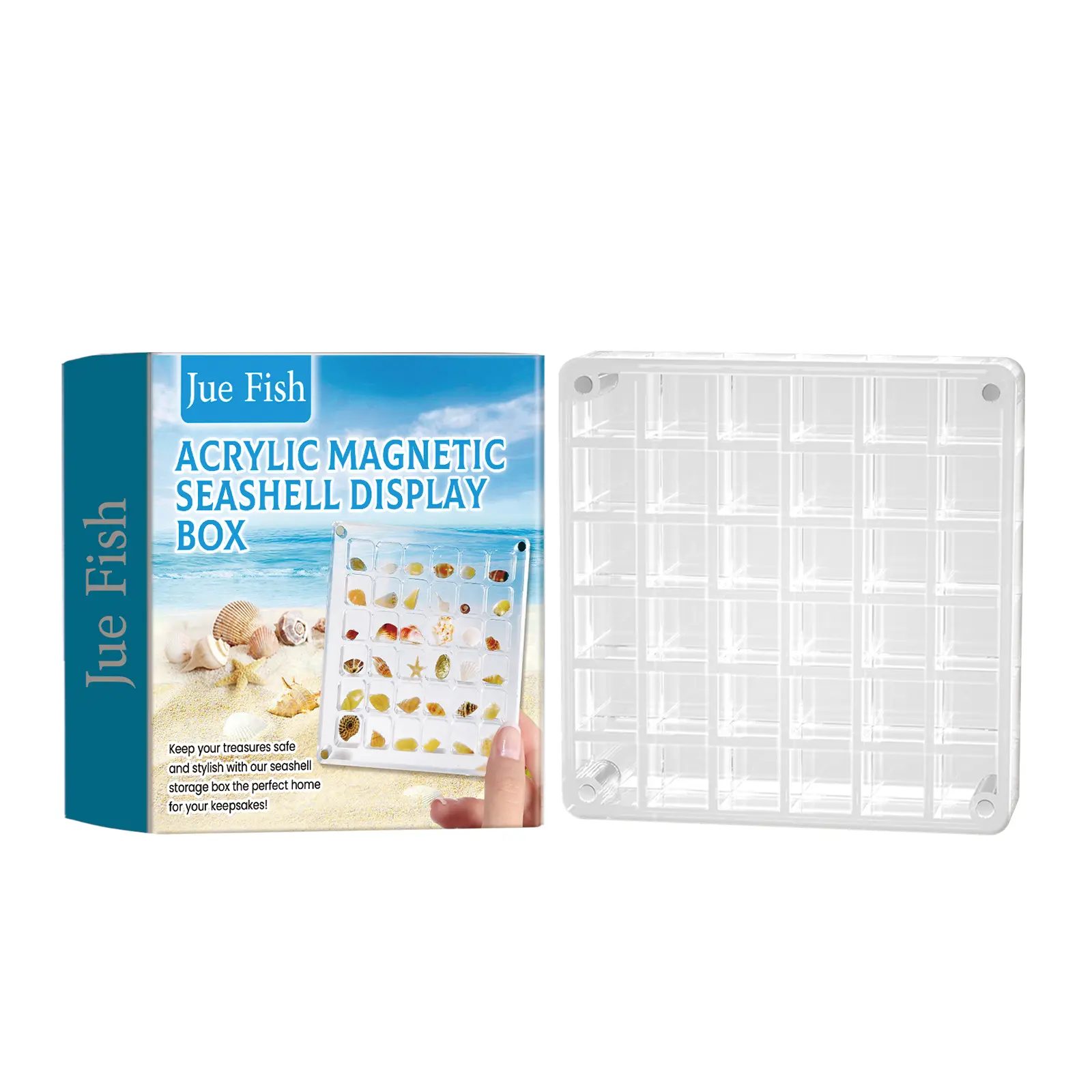 Jue Fish Acrylic Magnetic Seashell Display Box - 36 Grids Clear Seashell Storage Box Organizer, High Transparency Showcase for Rocks, Crystals, Beads, Jewelry, Crafts, Small Keepsakes (1-Pack)