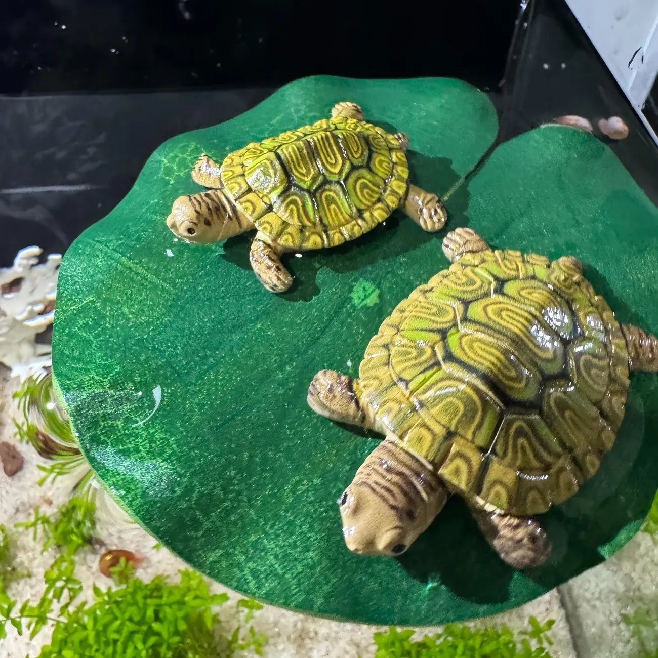 5pcs Cute Turtle Family Floats, Mini Aquarium Decor, Suitable for Ponds and Fish Tanks, Lifelike Floating Garden Ornaments, Aquarium Decorations