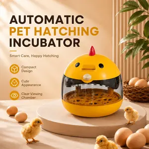 Mini Egg Incubator Set, Holds 5 Chicken Eggs or 10 Bird Eggs, 5V 2A Safe Voltage with Egg Candler, Cute Compact Portable Hatcher for Home Use