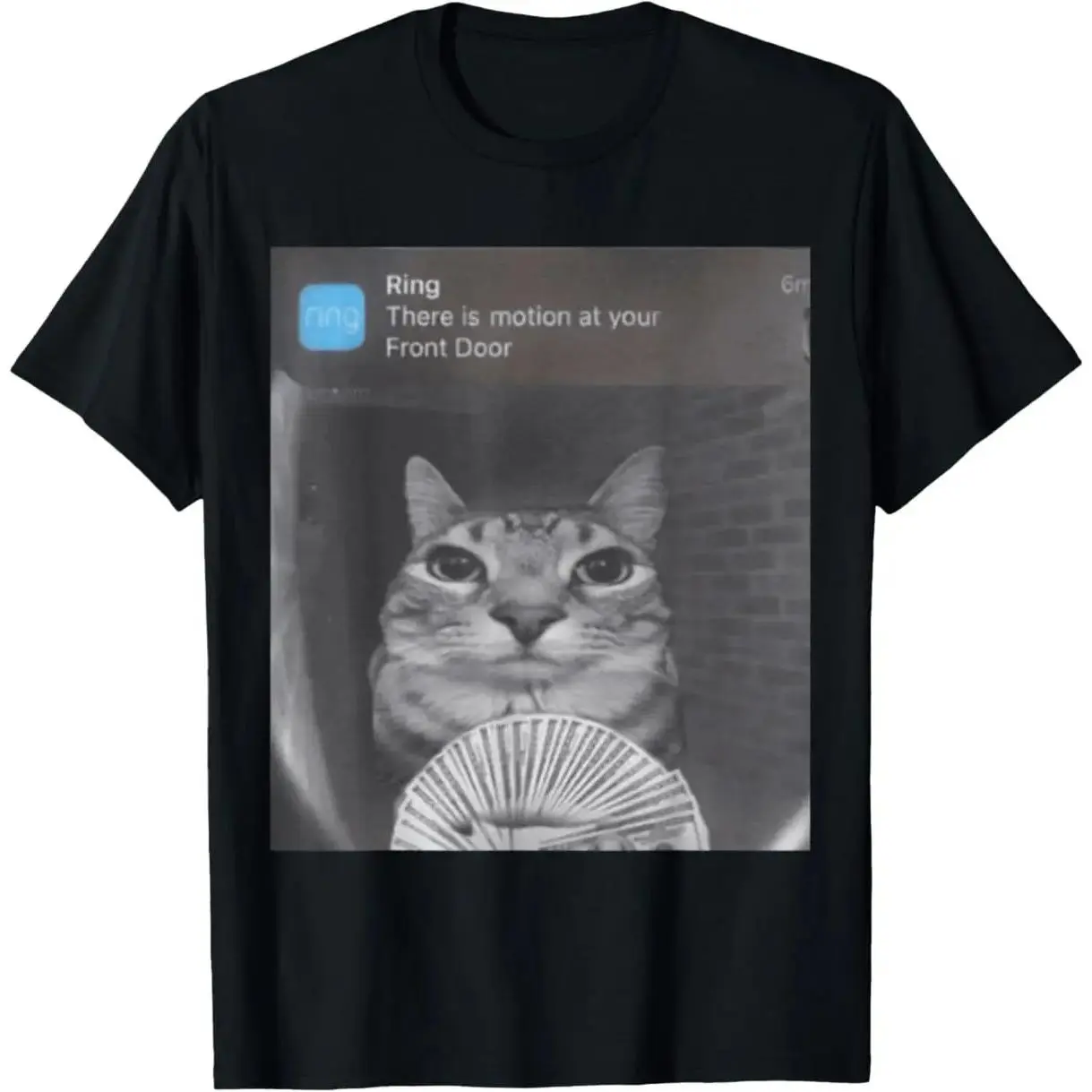 Ring There is Motion at Your Front Door T-Shirt - Printed Shirt for meme