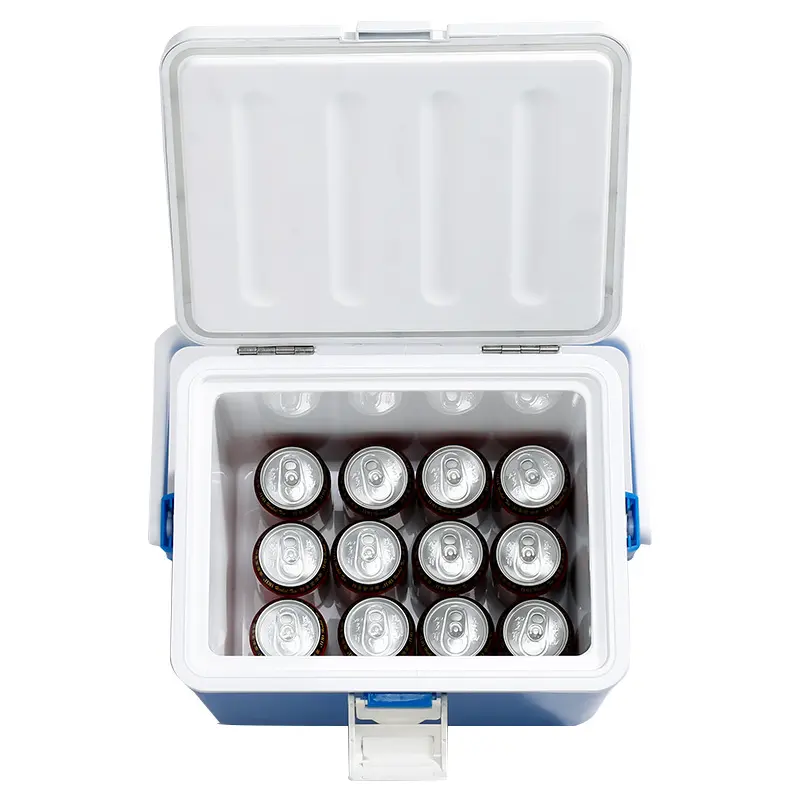 Outdoor household plastic insulated box, fishing seafood food storage box, ice cube freezer box, wholesale gift foam box