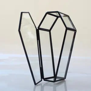 Tiny Glass Coffin Terrarium Box,Gothic Black Trinkets Organizer with Lid,Small Vintage Vampire Keepsake Display Case,Gift Idea for Dad and Boys,Home Tabletop Decor