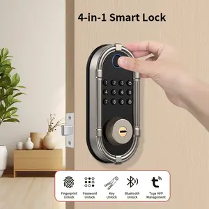 American Style Full Automatic Fingerprint Lock, Graffiti Design, Bluetooth-compatible Auto Lock for Wooden Doors, Home Office Hotel Use