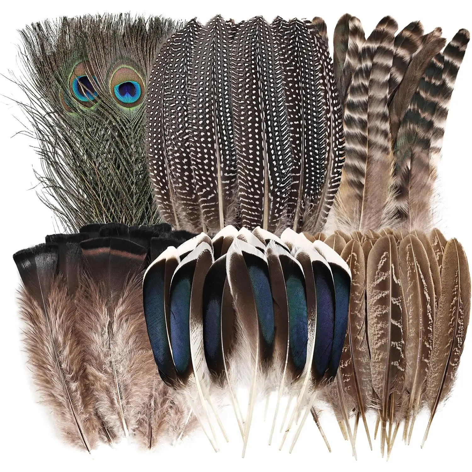 Natural Feathers Bulk - 55PCS - 6 Styles Assorted Natural Feathers, Peacock Feathers, Pheasant Feathers, Turkey Feathers for DIY Crafts, Wedding, Crafting Supplies