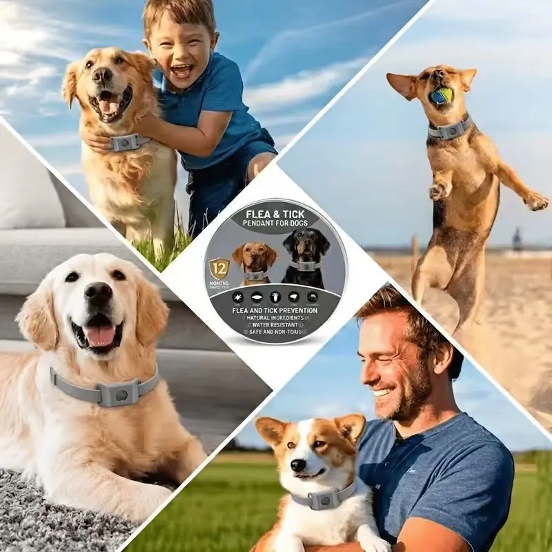 Flea And Tick Prevention Pendant For Dogs with Holder, Natural Ingredients Against And Ticks| Plant-Powered Flea & Tick Control for Dog Collars & Harnesses