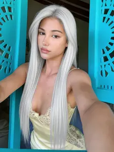 Silver Straight Wig 13x4 Lace Front Wigs Soft HD Transparent Lace Frontal Wig Pre-Plucked Natural Hairline Free Parting Heat Resistant Synthetic Straight Wig Silver Grey  Festival Look Wig for Daily Wear Party Dating 28 Inch