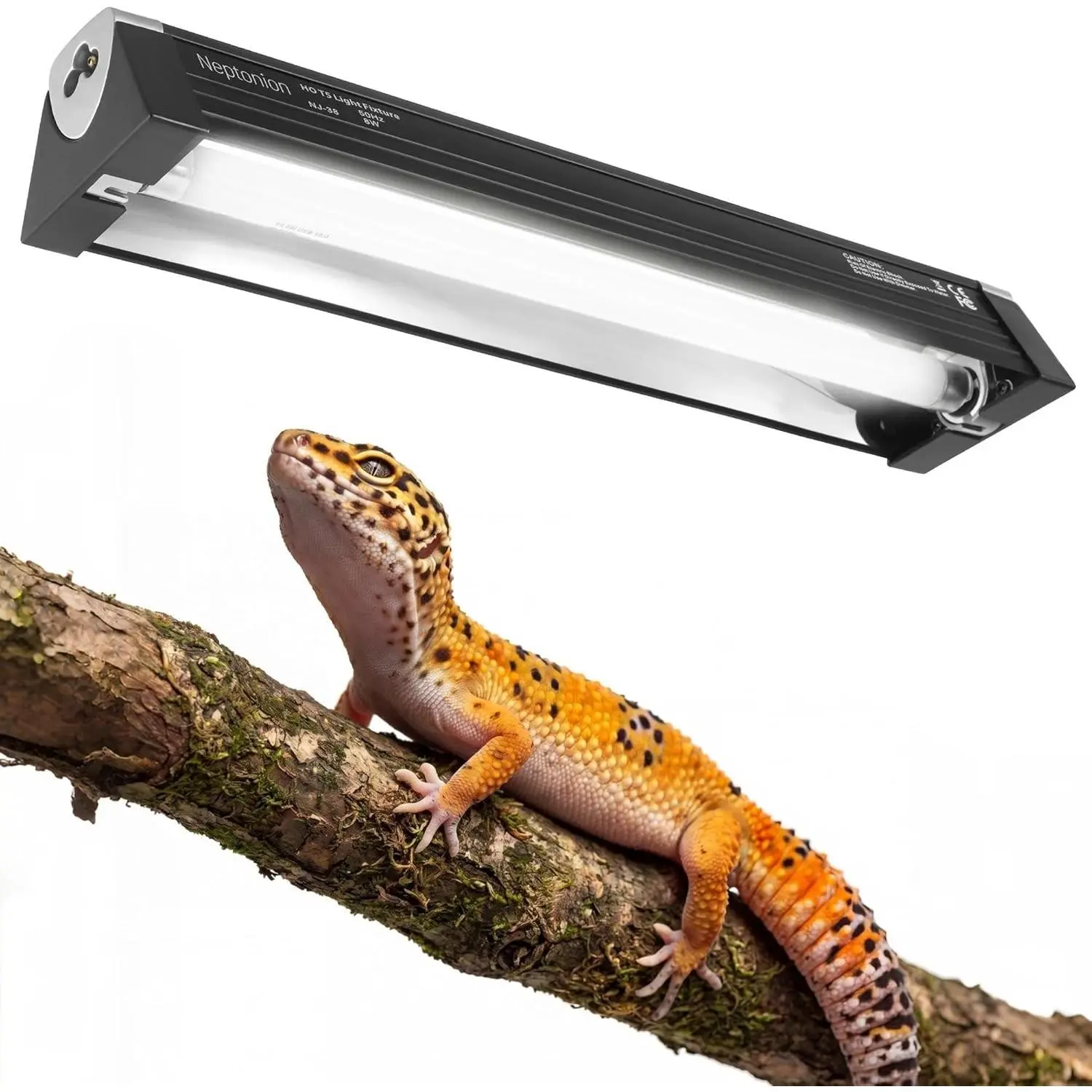 Reptile-Safe 8W T5 HO UVB 12.5" 5.0 Hooded Light Fixture with Tube, Low-Moderate UVB Terrarium Hood for Arid Reptiles (Leopard Gecko Compatible)
