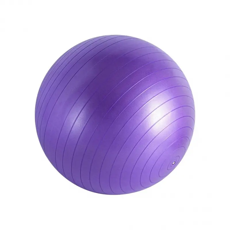 Anti-Burst Mini Exercise Ball, Small Fitness Stability Ball for Pilates, Yoga, Balance Training & Core Workout, Portable Workout Ball for Gym, Home Fitness, Stretching & Relaxation, Home Fitness Equipment