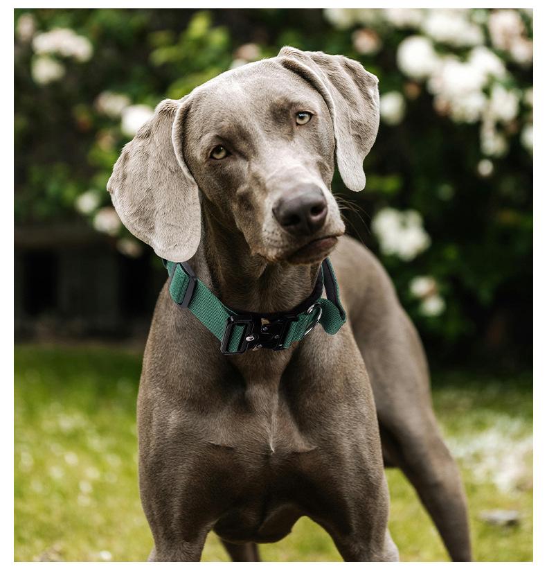 Premium Heavy-Duty Nylon Dog Collar - Extra Wide, Padded, with Stainless Steel Buckle Adjustable Pet Collar, Durable Dog Collar for Medium Large Dogs Cats for Outings, Dog Supplies, Pets Supplies, Christmas Gift