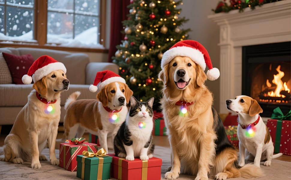 USB Charging Pet Pendant Suitable for Nighttime Walking and Pet Safety Lights Walking Light Attached to a Glowing Collar Worn by a Dog