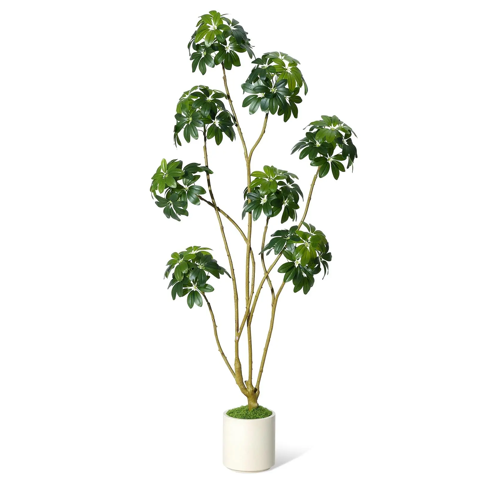 【Garvee】6ft Faux Umbrella Tree – Adjustable Multiple Trunks with White Planter – Lifelike Artificial Black Olive Tree for Indoor & Outdoor Home or Office Decor – Maintenance-Free, Single Piece