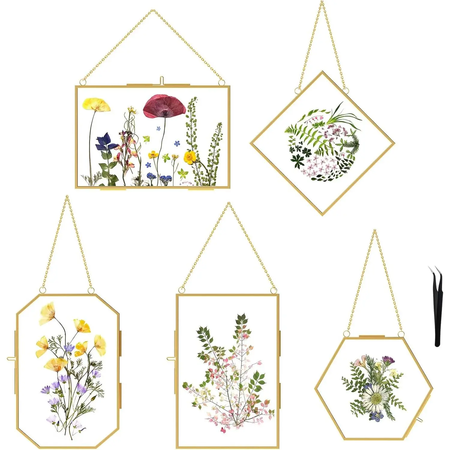 5 Pcs Pressed Flower Frames with Tweezers, Wall Hanging Tabletop Display Double Glass Frames with Metal Chain for Pressed Dried Flowers Plants, Horizontal and Vertical Golden Picture Frame