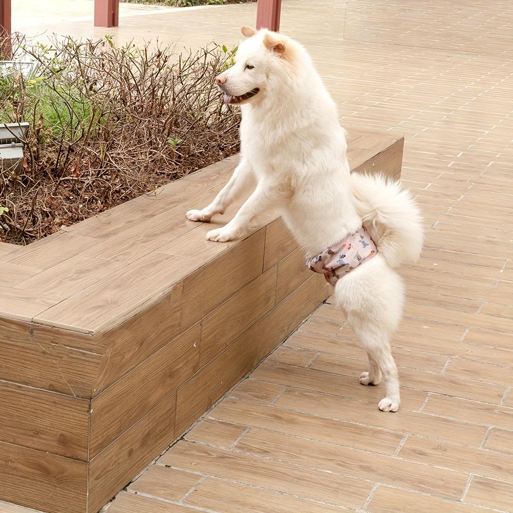 [Reusable Dog Diaper] 1pc Washable Male Dog Belly Bands Reusable Dog Diaper with High Absorbency Liner, Breathable Cloth Underwear for Potty Training