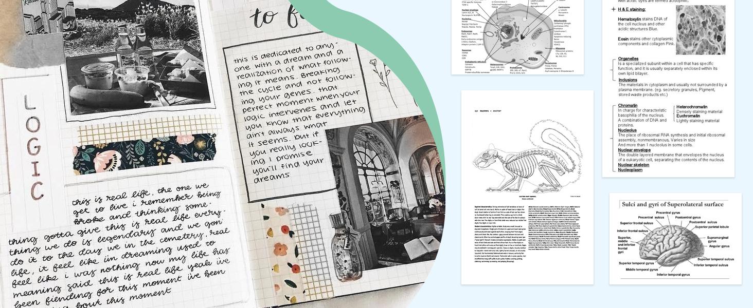 Portable Thermal Pocket Printer Inkless Bluetooth Receipt Mini Printer Wireless Sticker Lable Printer Study Notes Pictures Photos Print for Scrapbook Journal Sticky Label