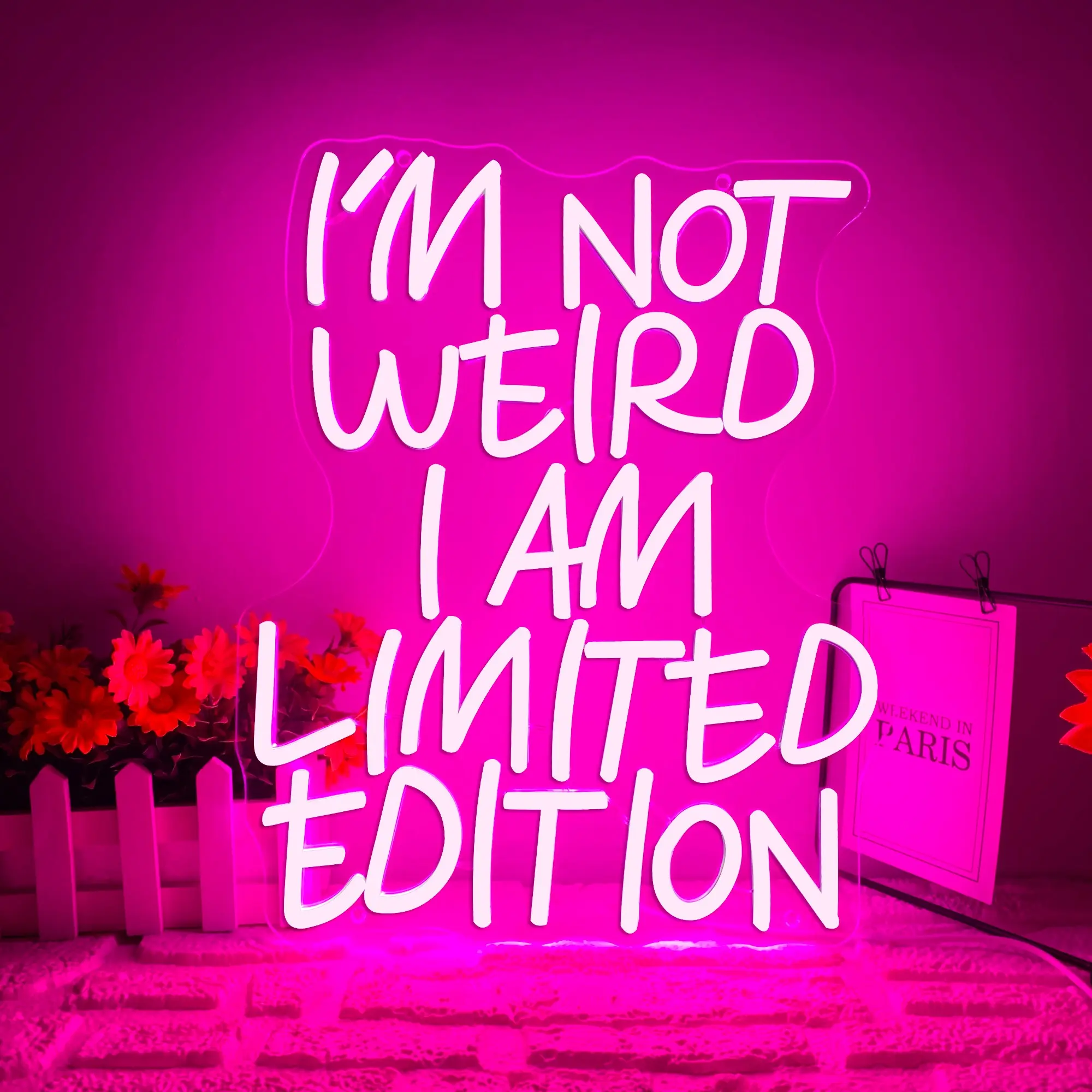 I'm Not Perfect I'm Limited Edition LED Neon Sign, Funny Quote Neon Light, Bedroom Neon Sign, Motivational Wall Art, Gift for Him or Her, Glowing Letter Lights