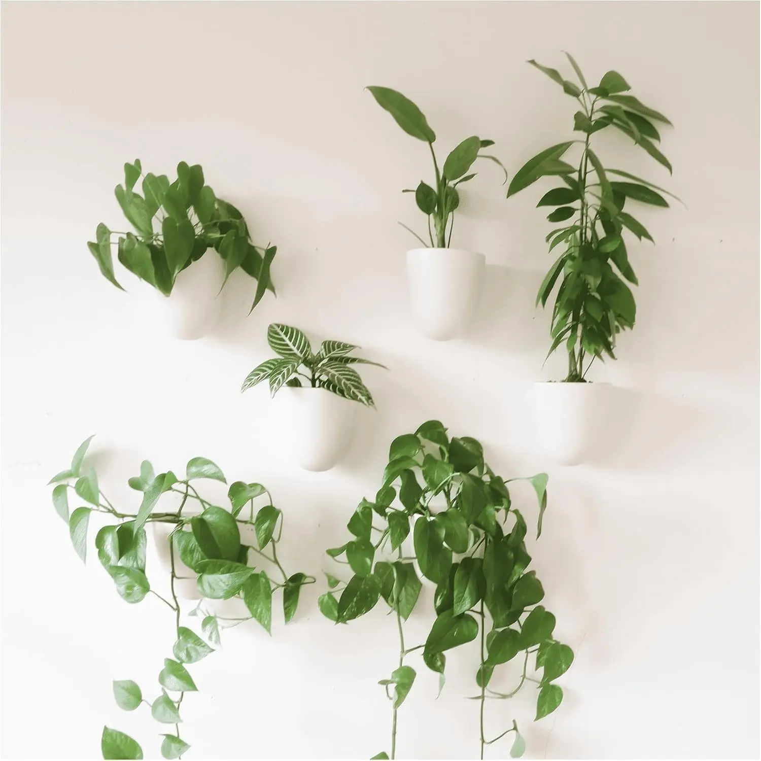 PlantPod Luxe - Self-Watering Wall Planters (Set of 6) - Easy to Water and Install - Lightweight - Design Your Own Vertical Garden - Wall Planters for Indoor Plants