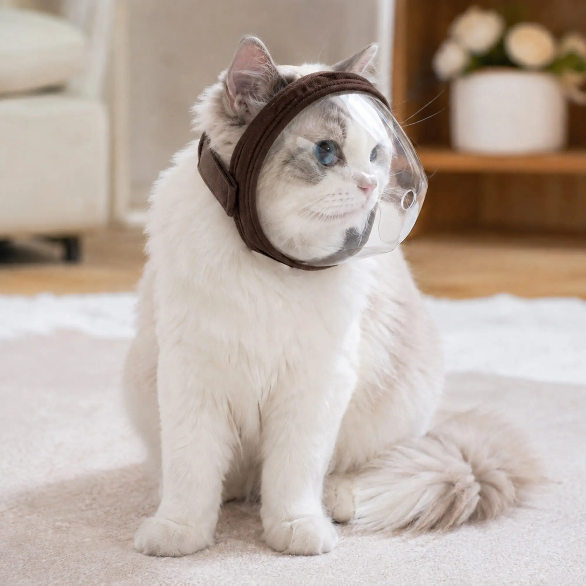 New Pet Mask Comfortable Breathable Non-Overheating, Cat Beauty Post-Surgery Anti-Licking Bite Head Cover, No Vision Obstruction, Not Restrictive
