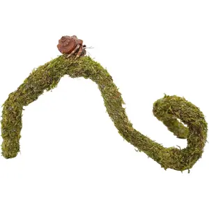 25 Inch Hermit Crab Climbing Toys, Bendable Hermit Crab Supplies, Ideal Hermit Crab Habitat Tank Terrarium Accessoriesfidget toys