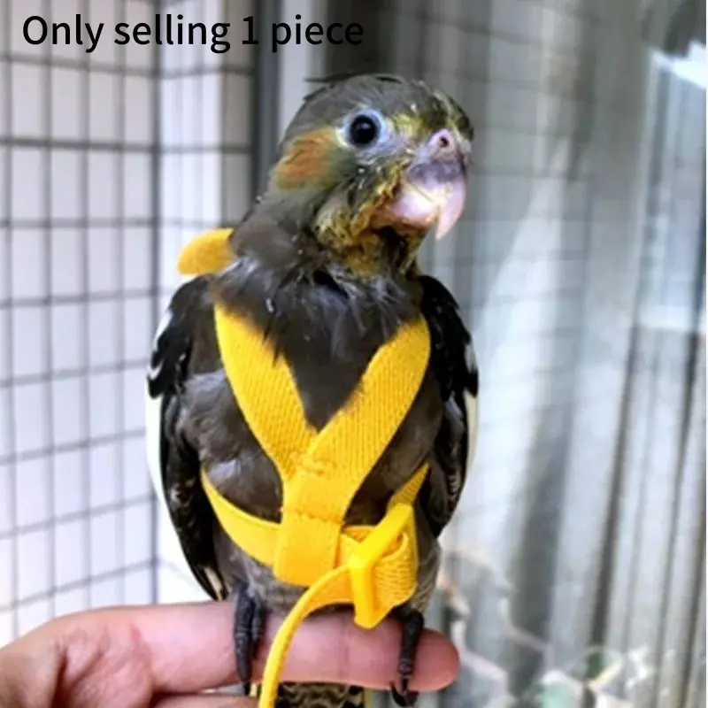 Adjustable Parrot Bird Harness Leash Set Anti-bite Training Harness Parrots Outdoor Flying Rope Cockatiel Small Birds Supplies