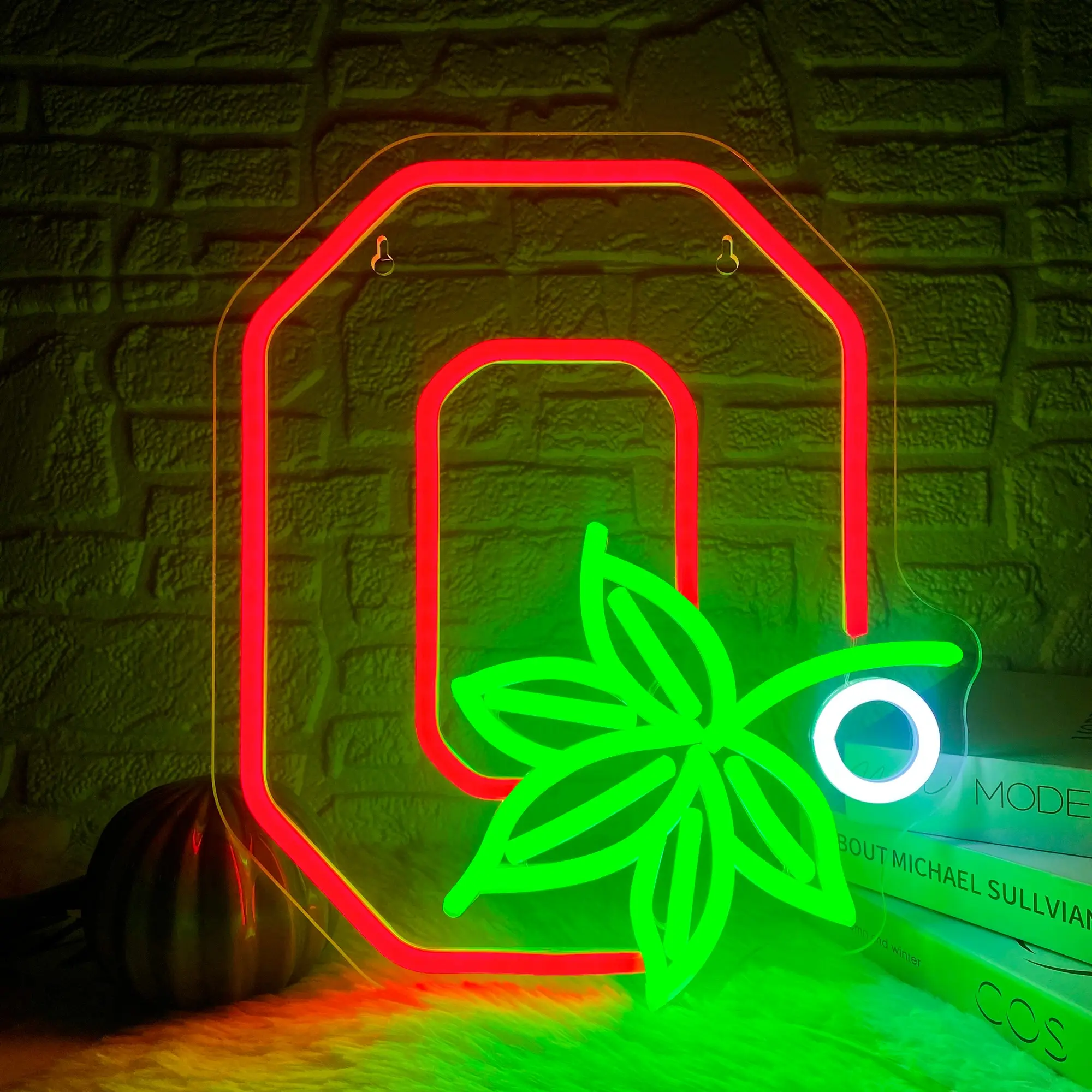 Ohio State Buckeyes Neon Sign, USB Plug Neon Sign, Novelty Lighting, Home Decor Light for College Dormitories, Bedrooms, Gifts for Fans