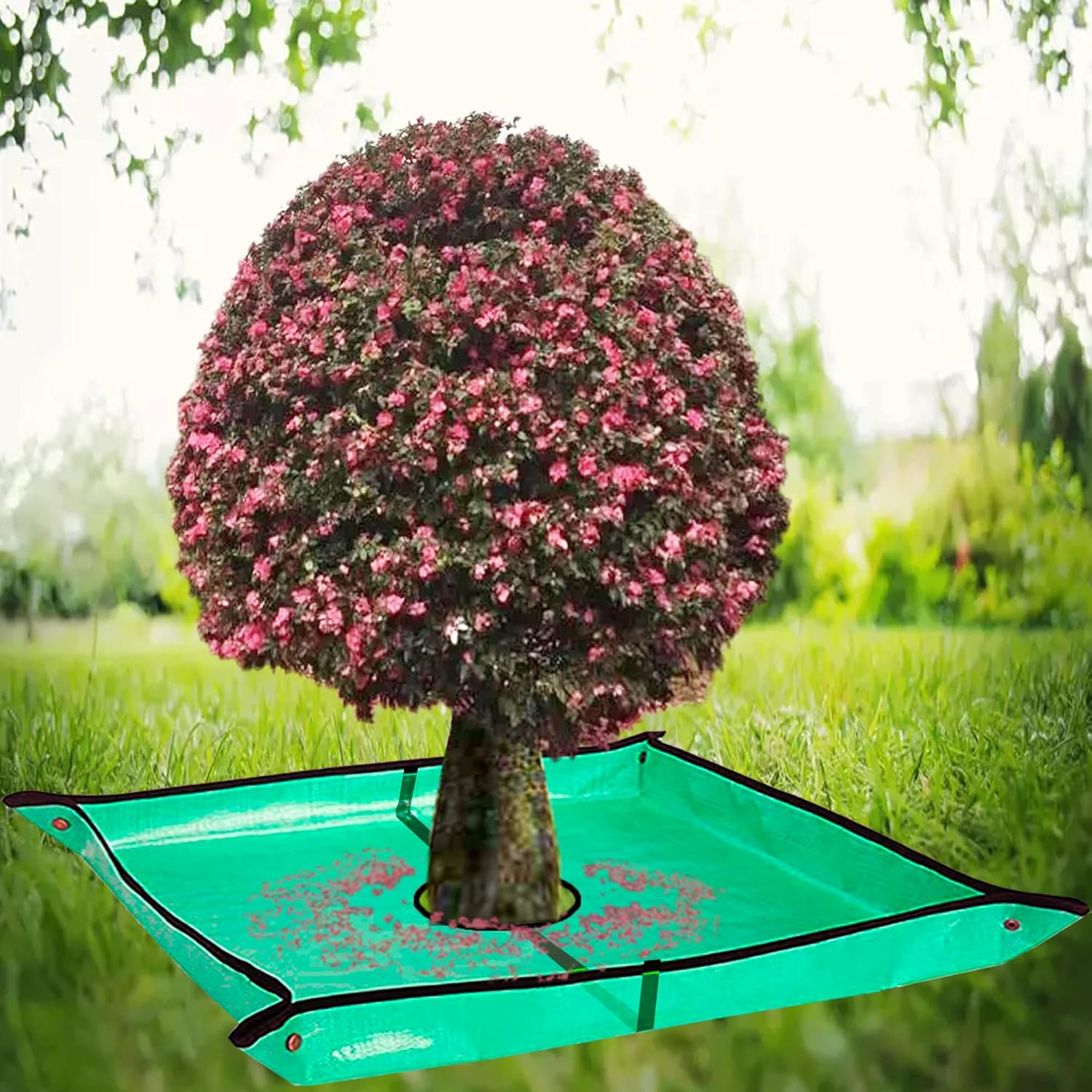 Square Shape Outdoor Polyethylene Landscape Pruning Tarp, 78.7inX78.7in, 12in Hole, Corner Buckles for Fast Standing Around Trees & Shrubs Trimming