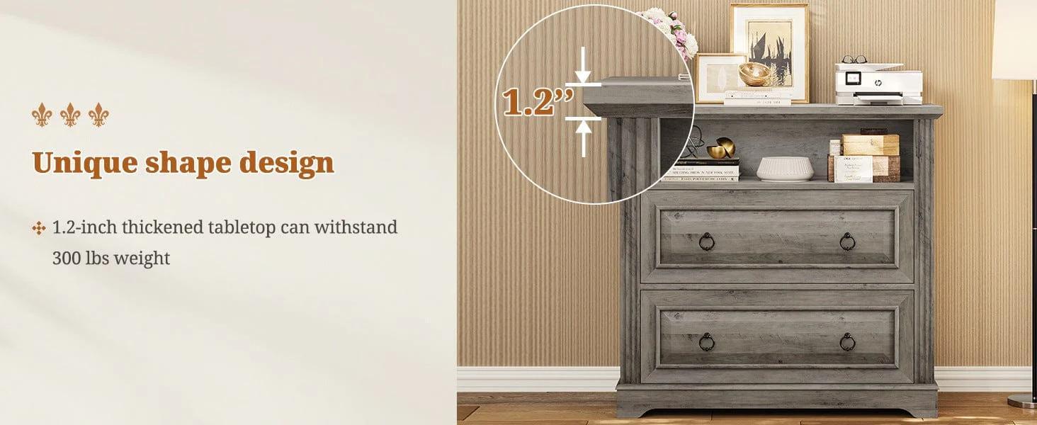 File Cabinet with Printer Stand and 2 Drawers Grey