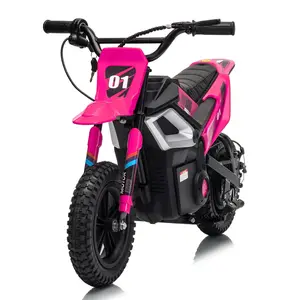 Teen's 24V 350W Electric Dirt Bike, 13.67 MPH Ride-on Motorcycle with Electric Hydraulic Brakes, Spring Suspension, Twist Throttle, Leather Seat