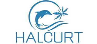 Women's High Waisted Swim Bottoms (Available in Plus) Full Coverage Bikini Swimsuit Bottoms