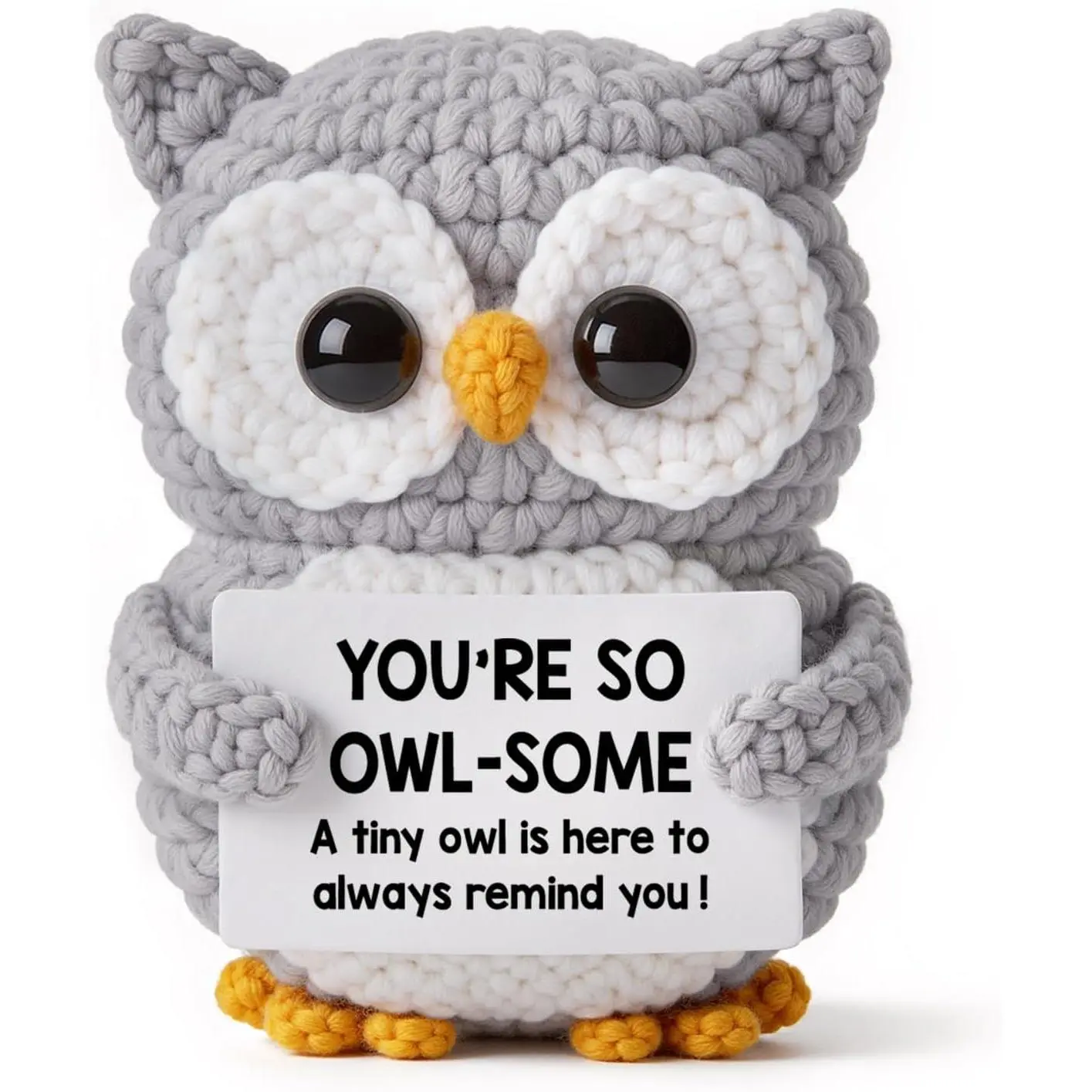 Positive Crochet Owl Birthday Gifts for Women Men, Teacher Appreciation  Day Graduation Emotional Inspirational Support Gifts for  Mom Dad Sister Coworkers and Loved Ones